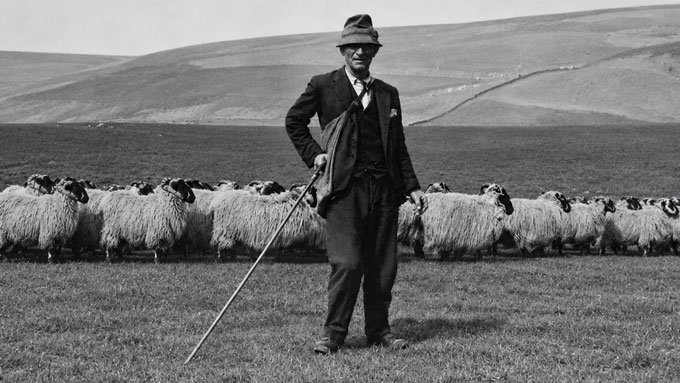 Historic shepherd connected to Crawfordjohn's farming heritage